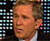 bush.jpg